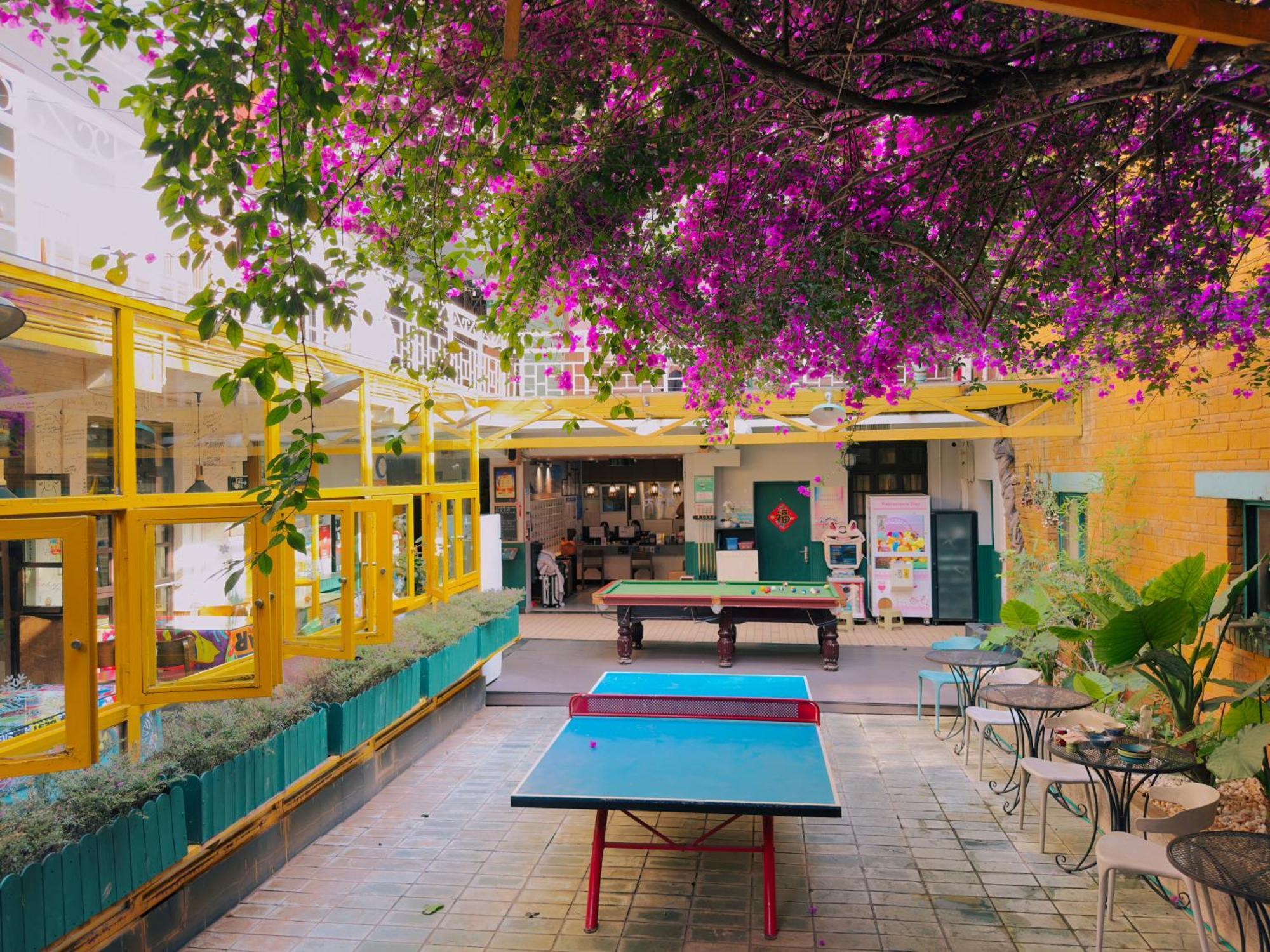 קונמינג The Cloudland International Youth Hostel Close To The City Center,10 Min Walks To The Subway, Close To The Night Market, Old Street, Green Lake, English-Speaking Service, Free Activity Convenient Payment And Visa Cards Are Accepted מראה חיצוני תמונה