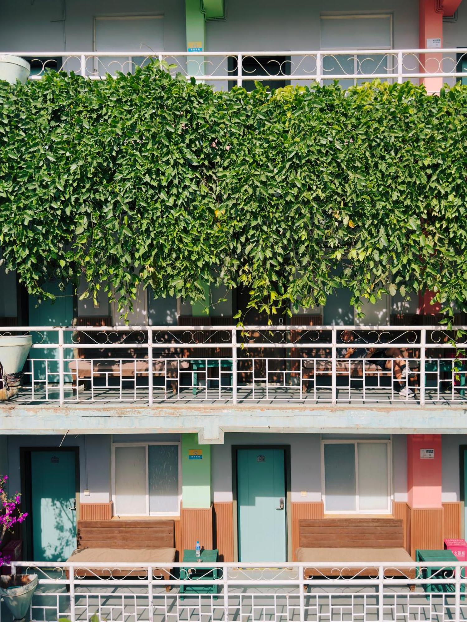 קונמינג The Cloudland International Youth Hostel Close To The City Center,10 Min Walks To The Subway, Close To The Night Market, Old Street, Green Lake, English-Speaking Service, Free Activity Convenient Payment And Visa Cards Are Accepted מראה חיצוני תמונה
