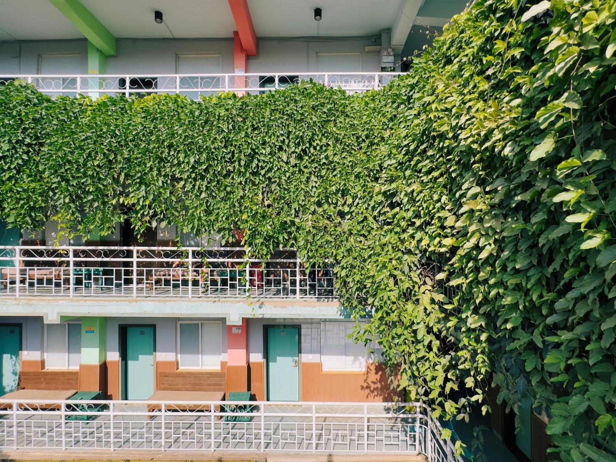 קונמינג The Cloudland International Youth Hostel Close To The City Center,10 Min Walks To The Subway, Close To The Night Market, Old Street, Green Lake, English-Speaking Service, Free Activity Convenient Payment And Visa Cards Are Accepted מראה חיצוני תמונה