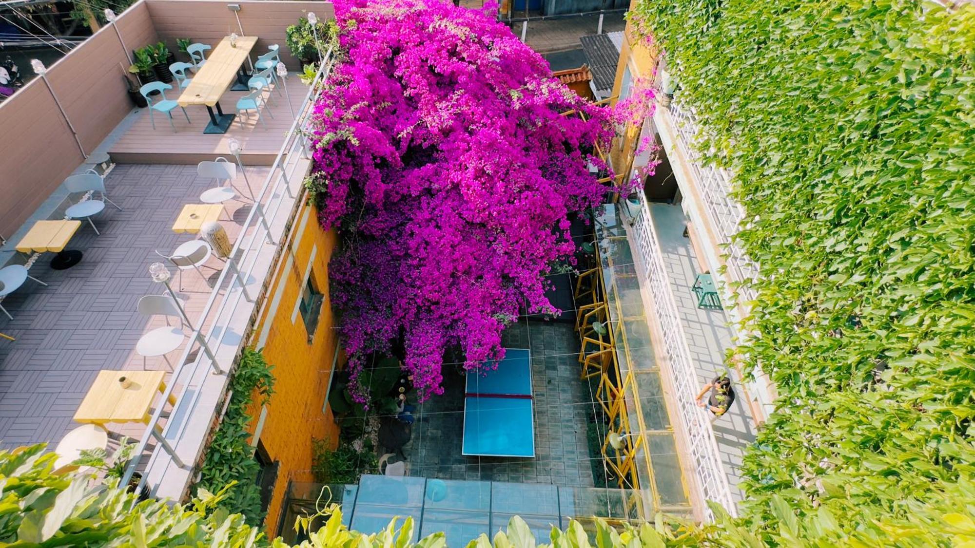 קונמינג The Cloudland International Youth Hostel Close To The City Center,10 Min Walks To The Subway, Close To The Night Market, Old Street, Green Lake, English-Speaking Service, Free Activity Convenient Payment And Visa Cards Are Accepted מראה חיצוני תמונה