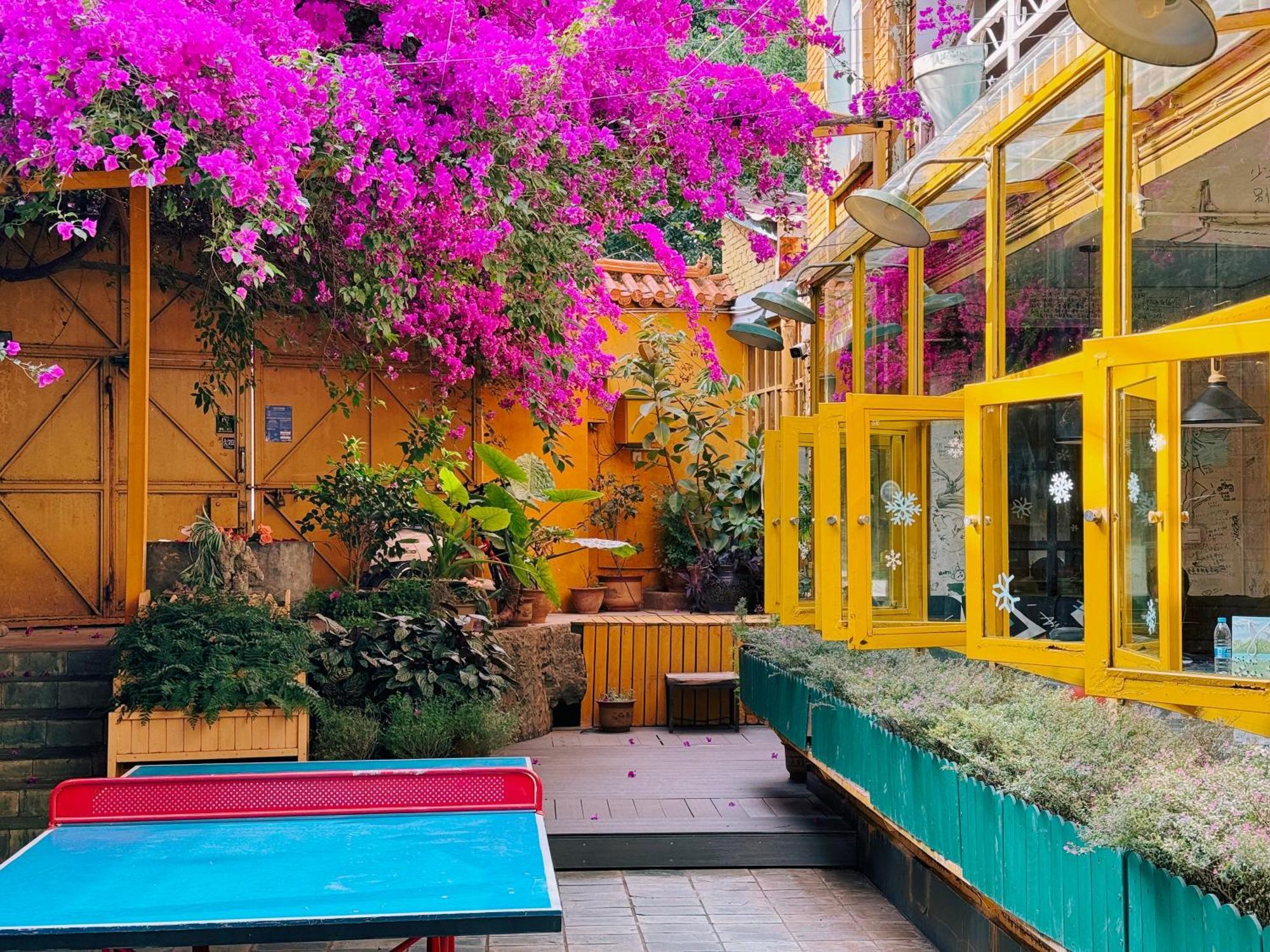 קונמינג The Cloudland International Youth Hostel Close To The City Center,10 Min Walks To The Subway, Close To The Night Market, Old Street, Green Lake, English-Speaking Service, Free Activity Convenient Payment And Visa Cards Are Accepted מראה חיצוני תמונה